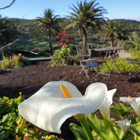 Casa Tara Ruhe Und Entspannung, Pur בית נופש